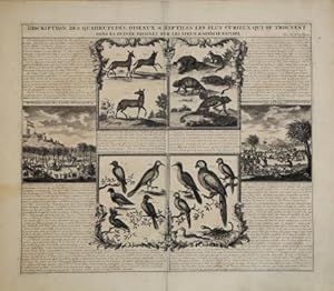 Description des quadrupedes, oiseaux & reptilese les plus curieux qui se trouvent dans la Guinée ...