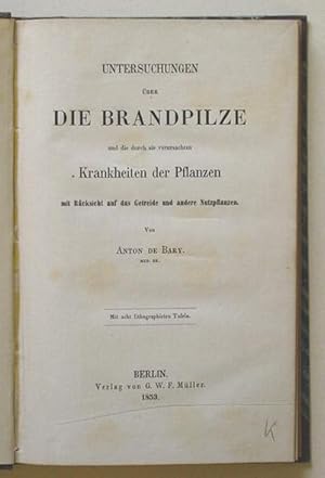 erläuterungen zu georg büchner woyzeck 8 auflage königs erläuterungen