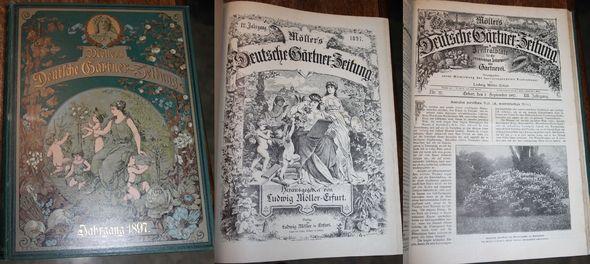 Möller's Deutsche GärtnerZeitung 12, Jahrgang 1897 Möller, Ludwig