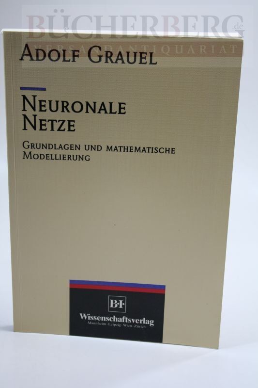 Neuronale Netze. Grundlagen und mathematische Modellierung