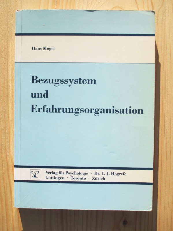 Bezugssystem und Erfahrungsorganisation (German Edition)