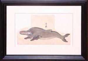 Japanese Whale Watercolor (C-3) Dolphin