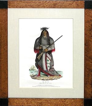 Wa Na Ta, Grand Chief of the Sioux