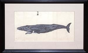 Blue Whale; Japanese watercolor