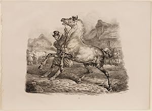 Untitiled Wild Horse Scene