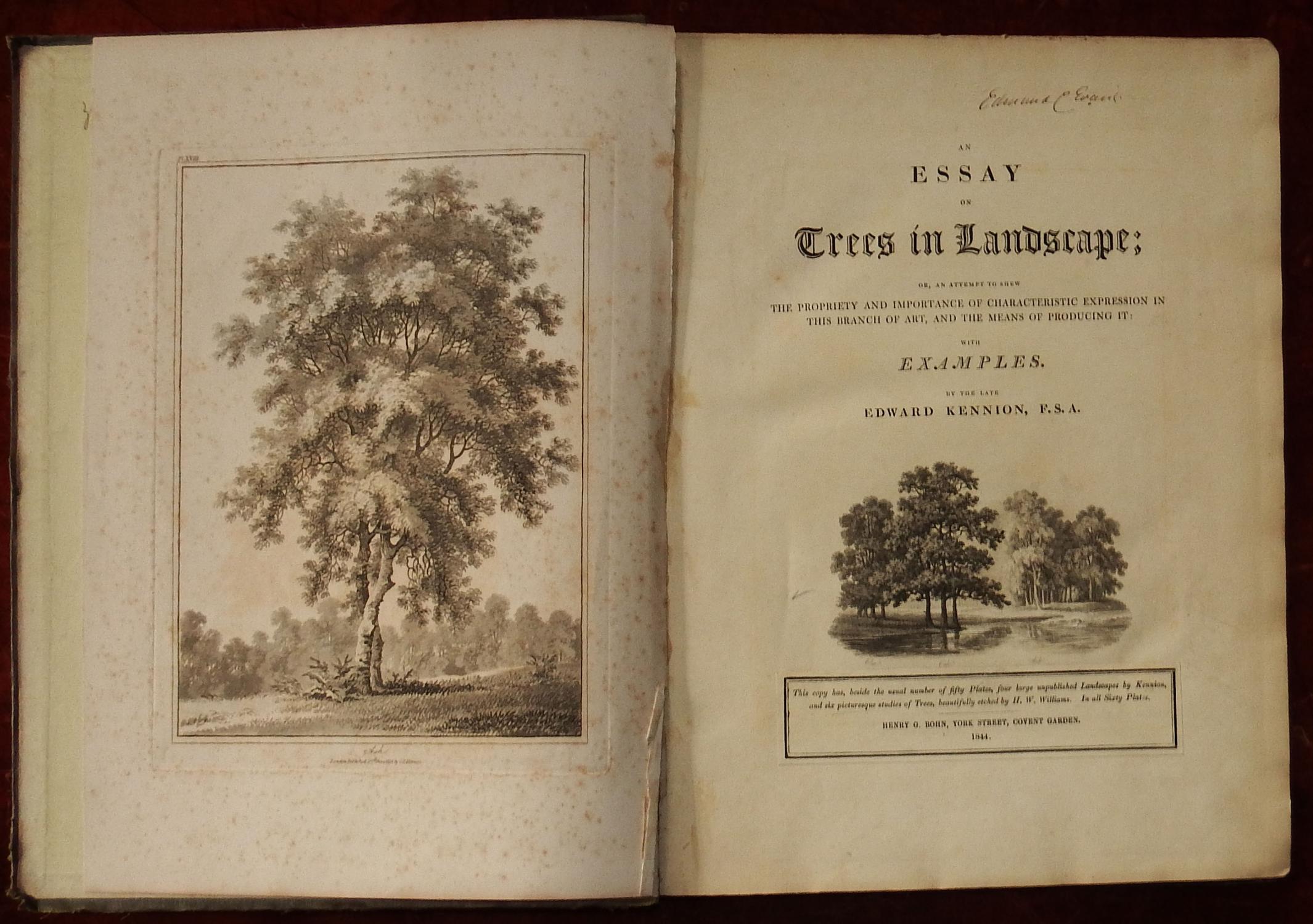 An Essay On Trees In Landscape Or An Attempt To Shew The Propriety An Essay On Trees In Landscape Or An Attempt To Shew The Propriety And Sample Essay Thesis also Help Writing Essay Paper Writing Report For Payin