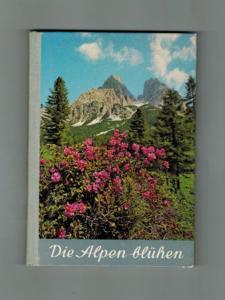 Die Alpen blühen.