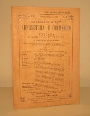 GIORNALE DI AGRICOLTURA E COMMERCIO DELLA TOSCANA L'AMICO DEL CONTADINO