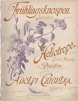 Heliotrope. Mazourka de Salon für Pianoforte, Op. 251