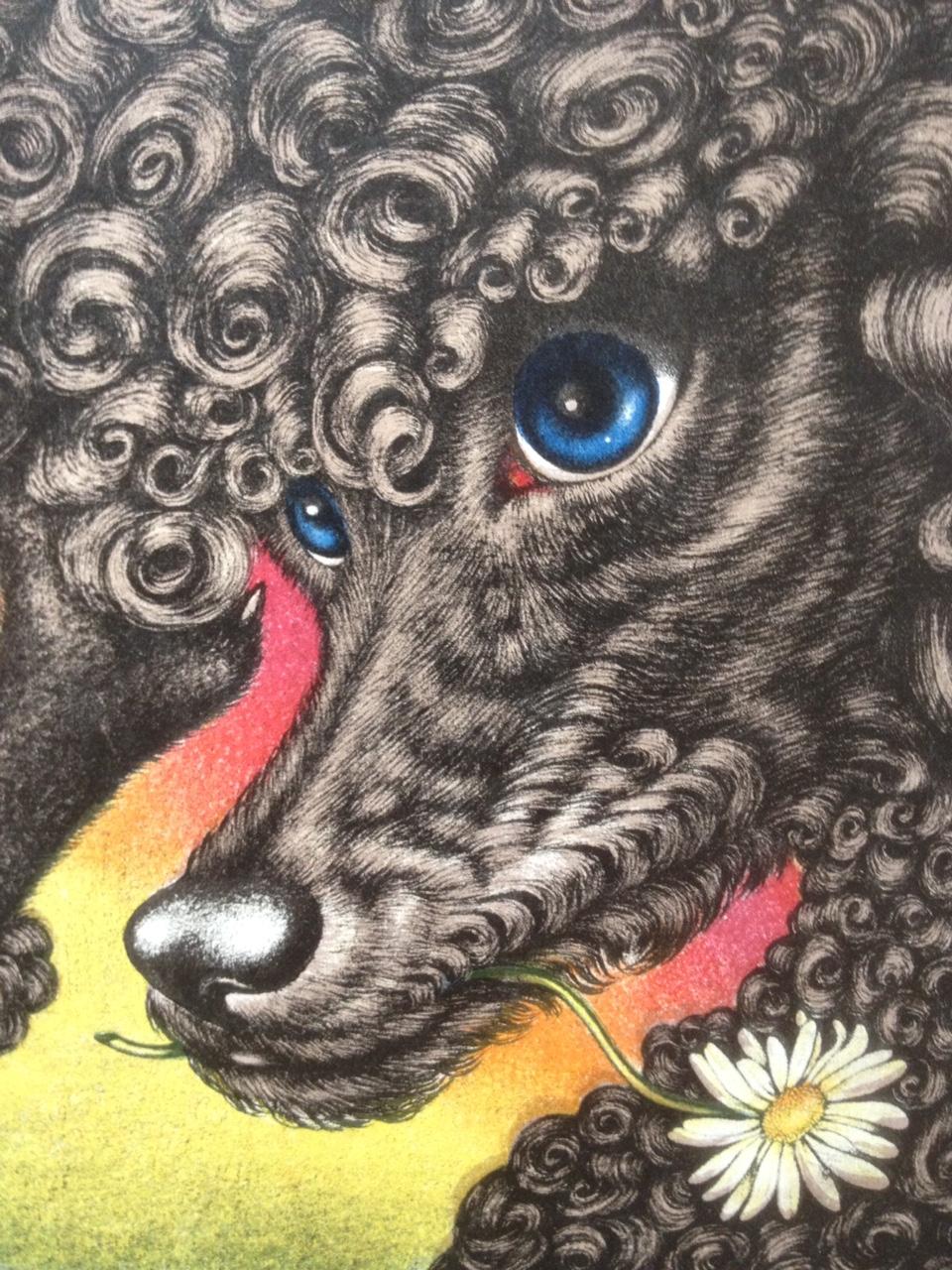 Les Aventures de Fido caniche. Textes et dessins de Valentine Hugo by