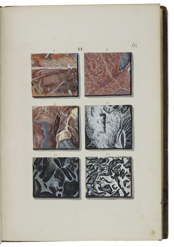 natures engraver zvab 13223440378 5 jpg