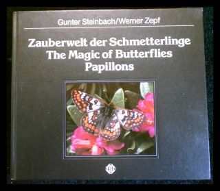 The Magic of Butterflies