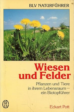 Wiesen und Felder : Pflanzen und Tiere in ihrem Lebensraum - ein Biotopführer (BLV-Naturführer ; ...