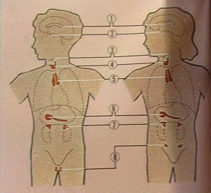 Le guide familial de la médecine Tome premier (A à K) et second (Là Z)