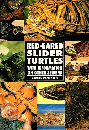 Red-Eared Slider Turtles