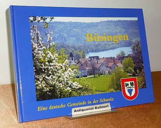 Das Dorf Singen und seine Finanzwirtschaft: Von 1850 bis zur Stadterhebung im Jahre 1899 (Beitrage zur Singener Geschichte) (German Edition)