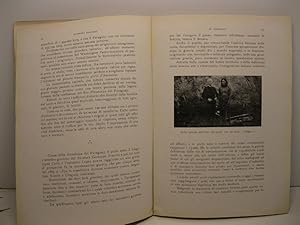 A traverso. L'America Latina - Il Messico, La California e l'Oceania (Note di viaggio). Estratto ...