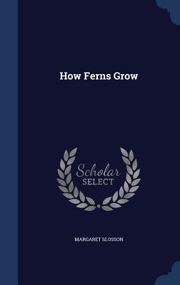 How Ferns Grow (Hardback or Cased Book) - Slosson, Margaret