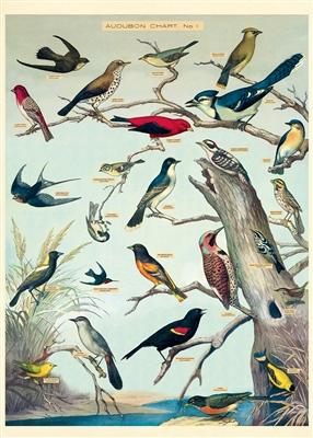 Cavallini & Co. Audubon Birds Decorative Paper Sheet