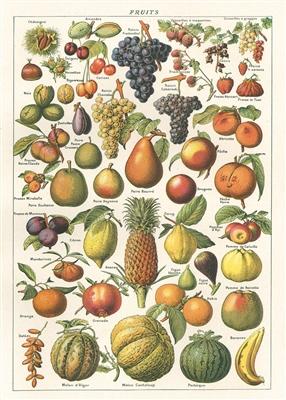 Cavallini Larousse Fruit Chart Poster Wrap Decoupage