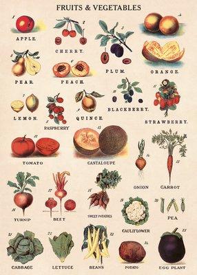 Cavallini Decorative Paper - Fruits and Vegetables 20"x28" Sheet