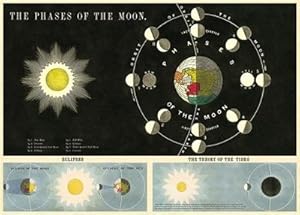 Cavallini & Co. Phases Of The Moon Chart Decorative Paper Sheet 20" x 28" (Spanish Edition)