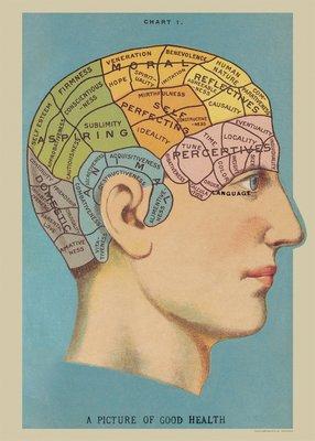 Poster of Phrenology Vintage Art Picture of Good Health