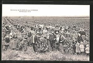 Carte postale St. Sorlin sur Gironde, Feldarbeiter bei der Weinernte