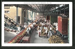 Postcard New Orleans, LA, Unloading Bananas