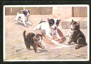 Hunde Und Katzen Zvab