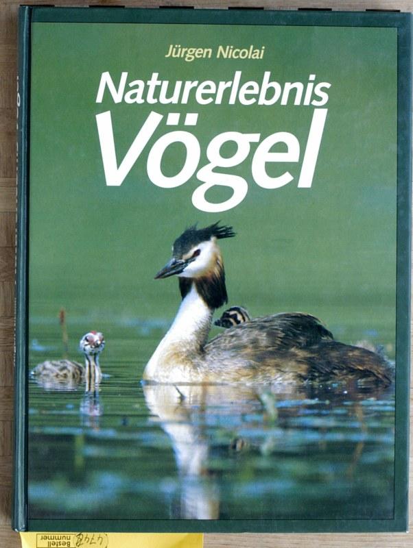 Schüler kennenlernen steckbrief image 7