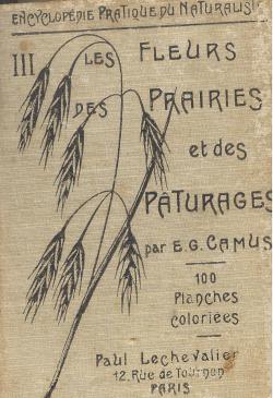 Les fleurs prairies et des paturages