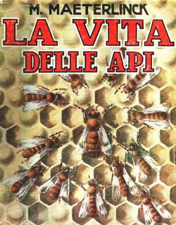 La vita delle api