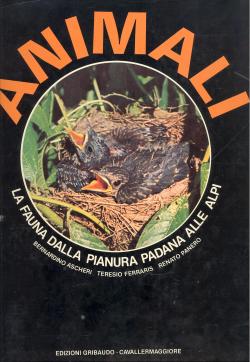 Animali la fauna dalla pianura Padana alle Alpi Bernardino Ascheri, Teresio Ferraris, Renato Panero