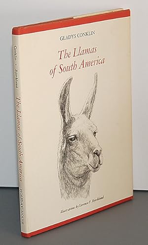 THE LLAMAS OF SOUTH AMERICA. Illustrations by Lorence F. Bjorklund