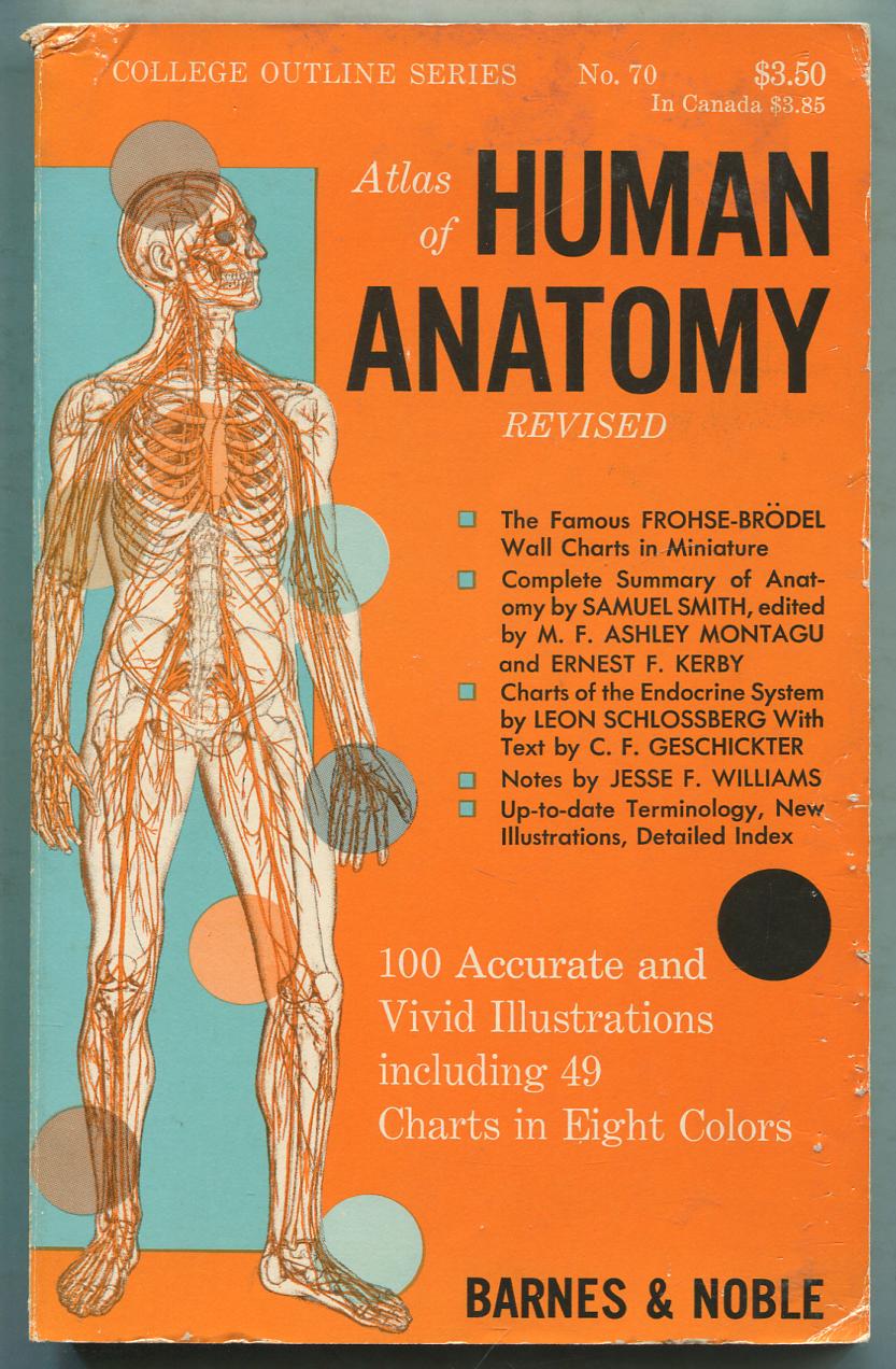 Max Brodel Anatomical Chart