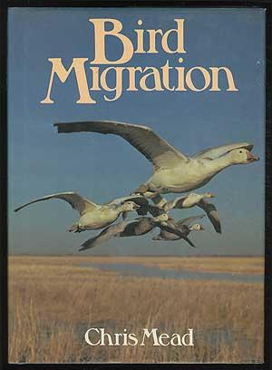 Bird Migration