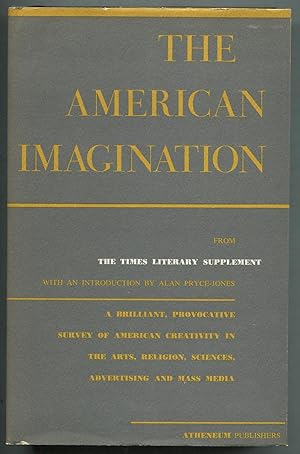 The American Imagination: A Critical Survey of the Arts from The Times Literary Supplement