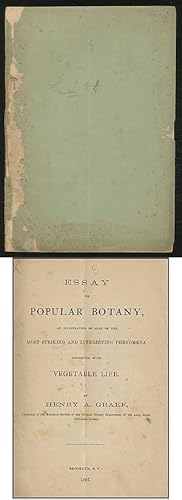 Essay on Popular Botany