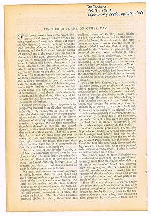 Feathered Forms of Other Days. [original single article from The Century Illustrated Monthly Maga...