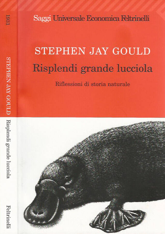 Risplendi grande lucciola. Riflessioni di storia naturale - Stephen Jay Gould