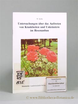 Untersuchungen über das Auftreten von Krankheiten und Unkräutern im Rosenanbau. - Kolbe, Wilhelm