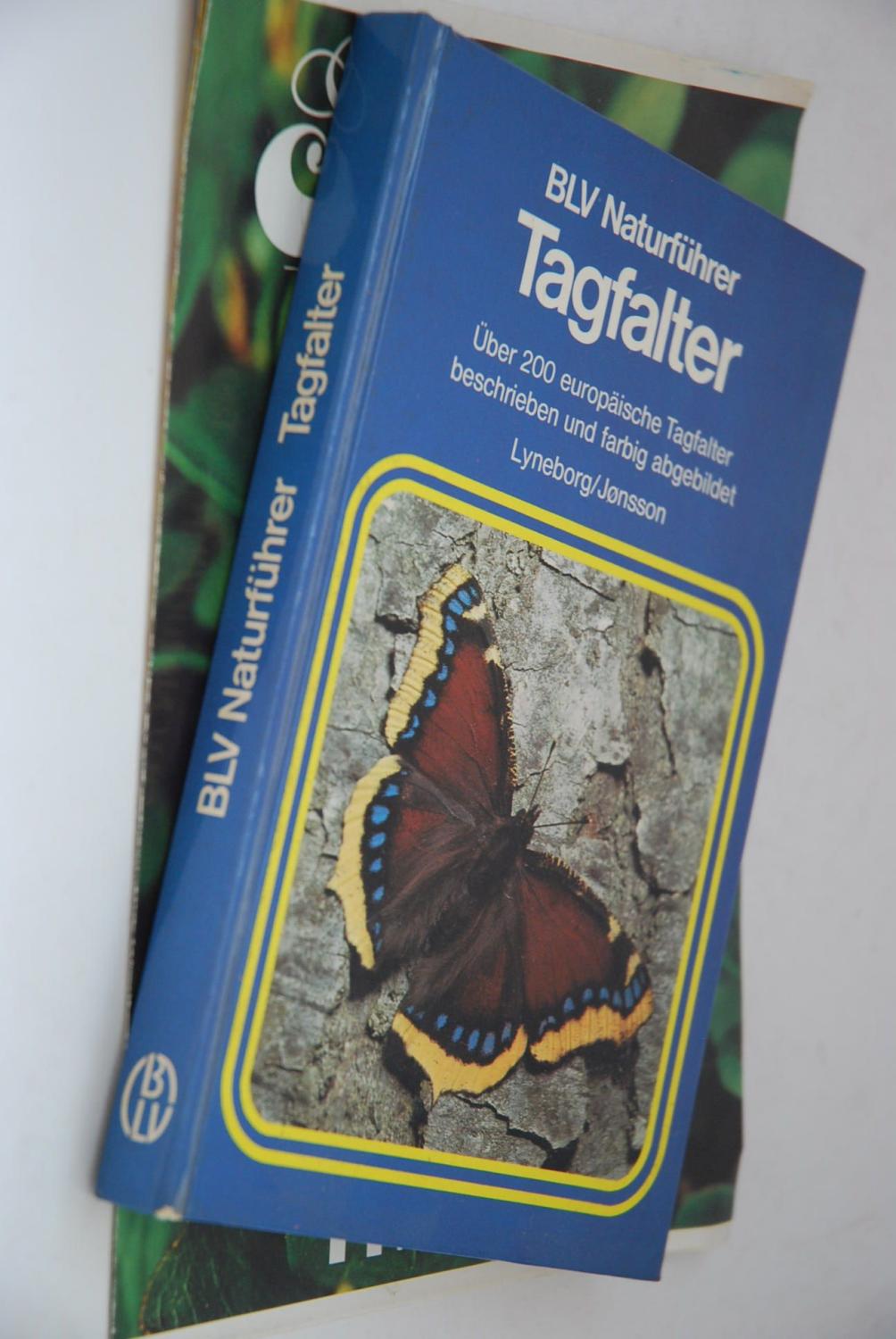 Tagfalter