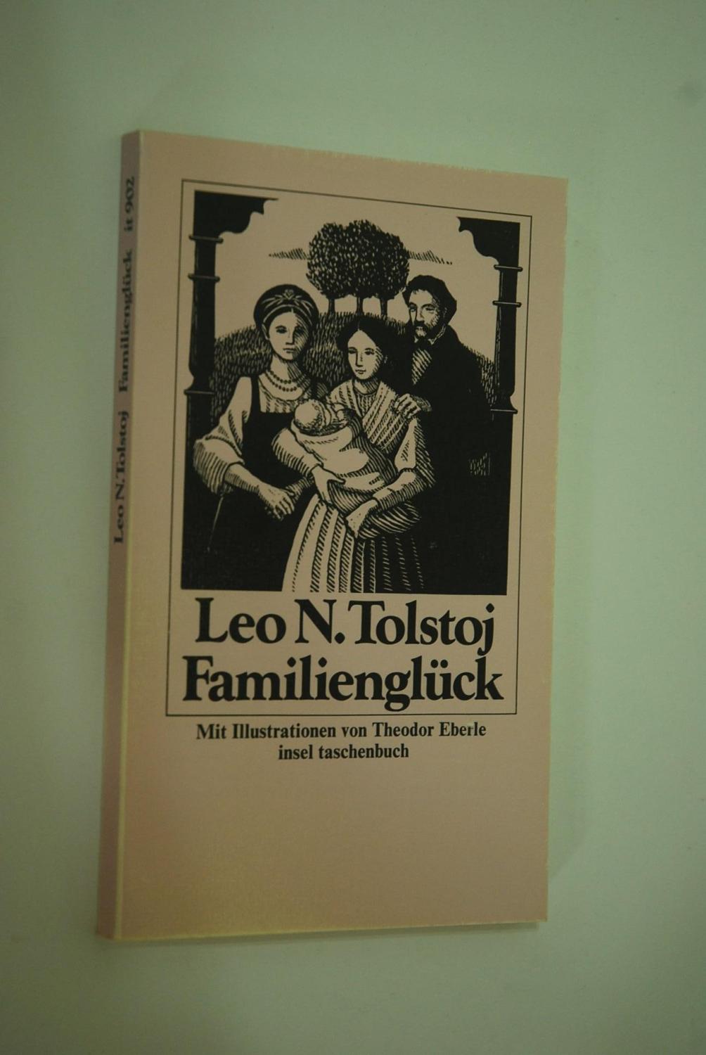 Familienglück (insel taschenbuch)