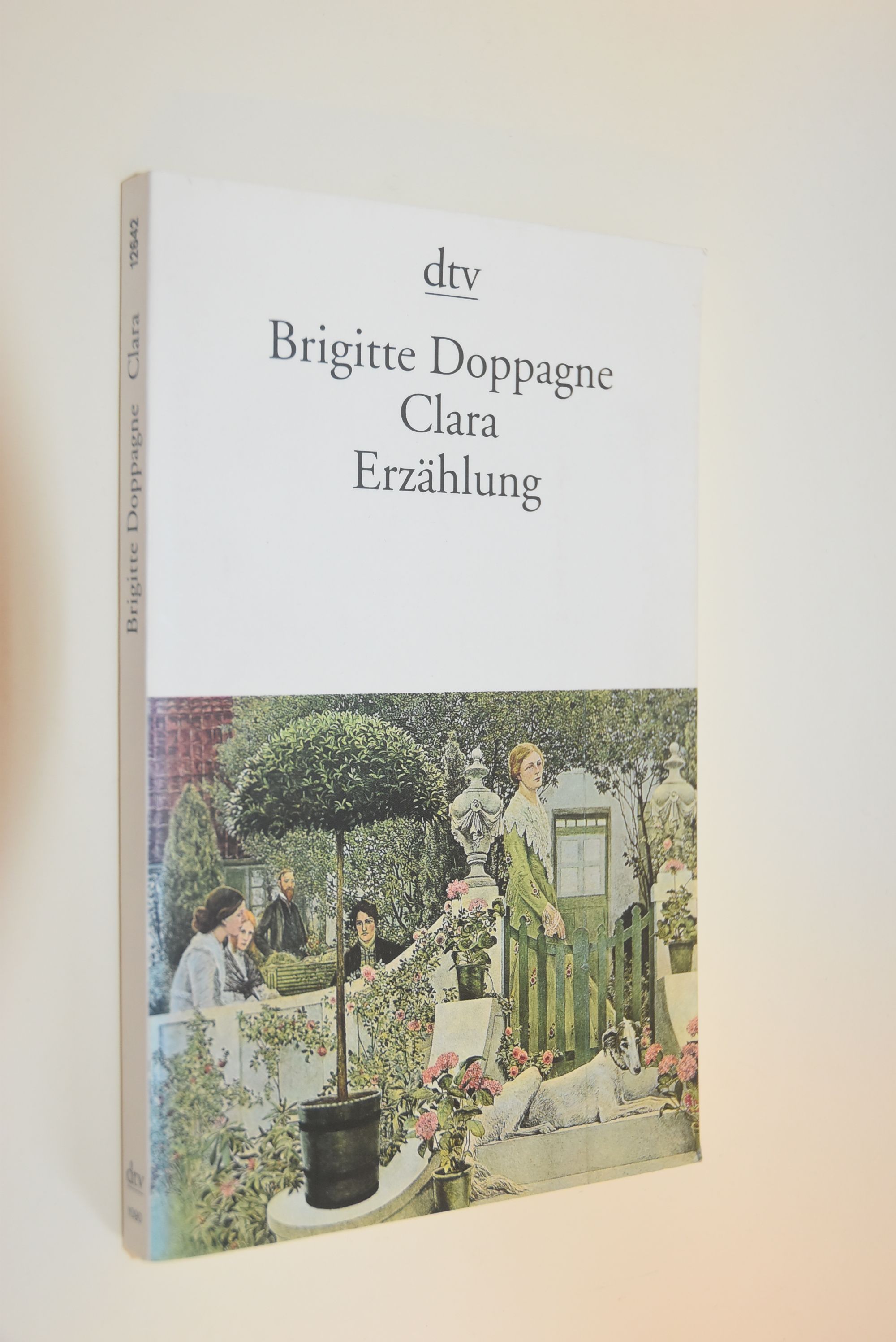 Clara : eine Erzählung. Brigitte Doppagne / dtv ; 12642 - Doppagne, Brigitte (Verfasser)
