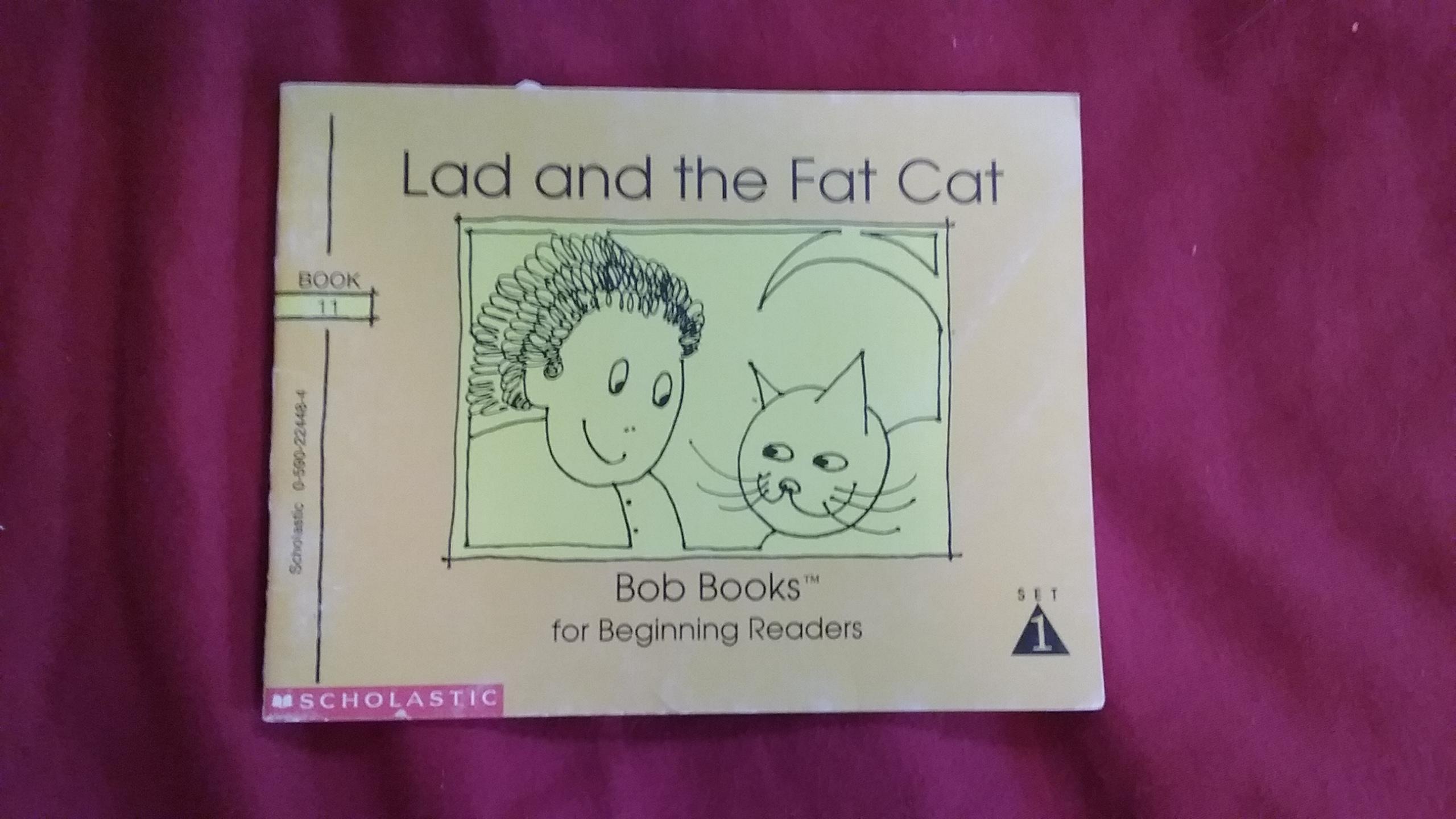 Lad and the Fat Cat (Bob Books for Beginning Readers, Set 1, Book 11)