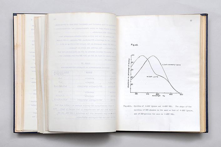 Alkaline protease phd thesis