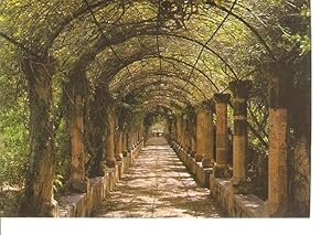 Postal 048837 : Jardines Alfabia. Bunyola - Mallorca. Pergola y Surtidor