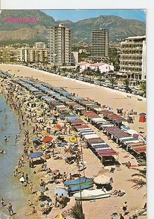 Postal 041397 : Benidorm (Alicante). Playa de Levante
