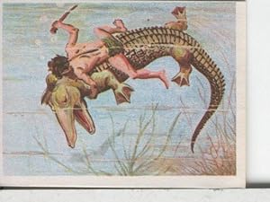 Cromos: Aventuras de Jorge, el Pequeño Tarzan, autor Gigarpe numero 030